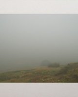 Into the Mist.