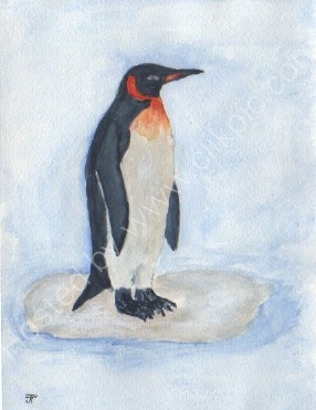 King Penguin
