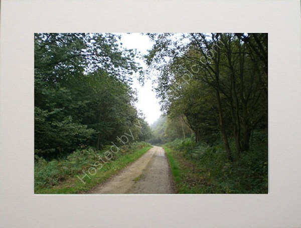 Road to Somewhere.
