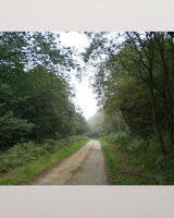 Road to Somewhere.
