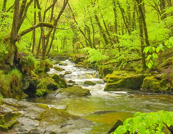 Scenic Cornwall 2026 Landscape layout