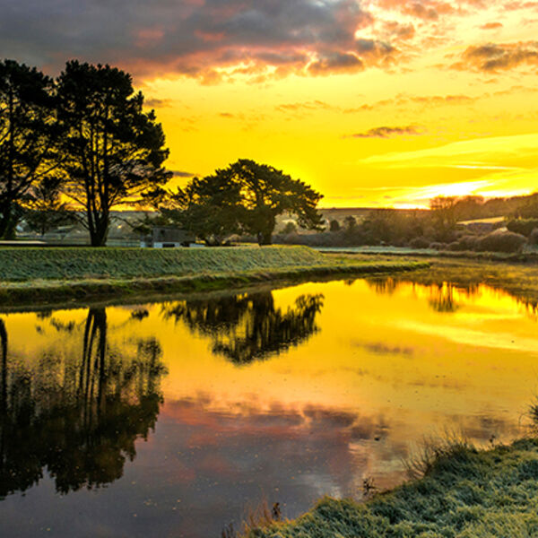 January, The River Camel at Wadebridge.