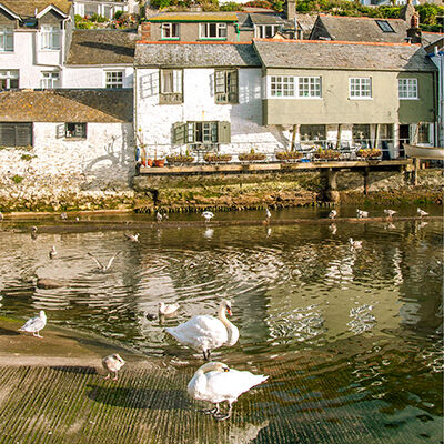 Polperro harbour.