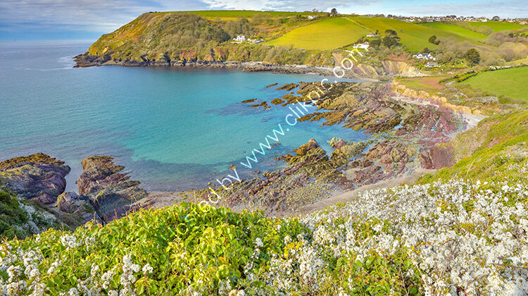 May, Talland Bay nr Looe.