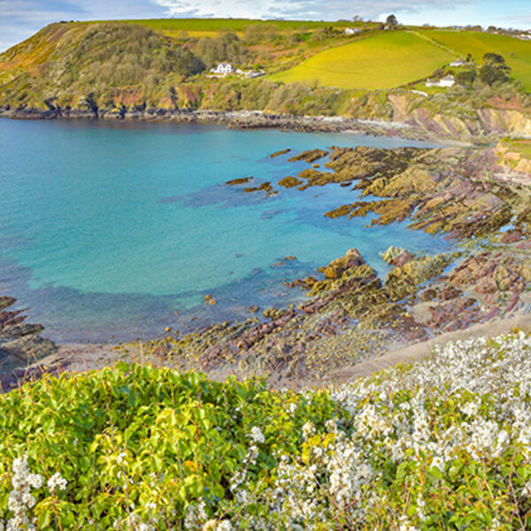 May, Talland Bay nr Looe.