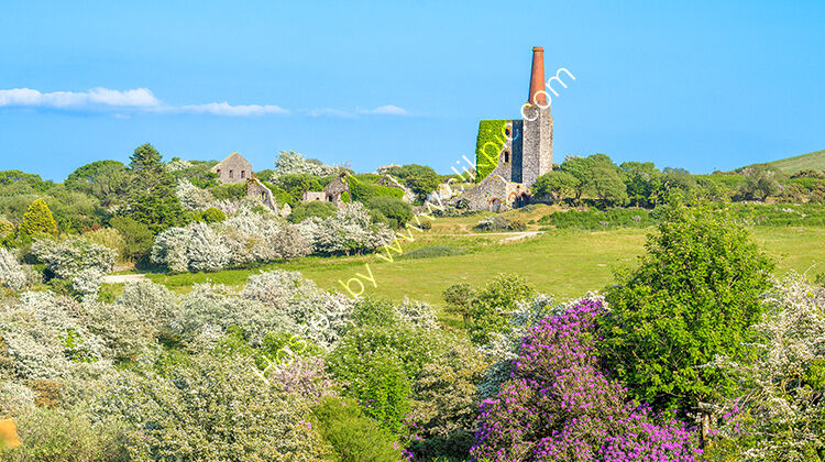 June, The South Pheonix mine, nr Minions.
