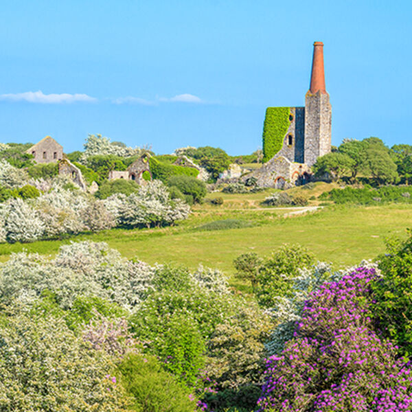 June, The South Pheonix mine, nr Minions.
