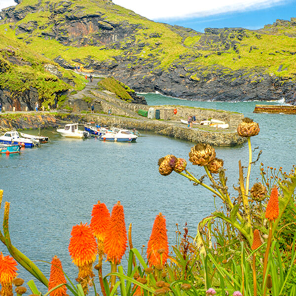September, Boscastle.