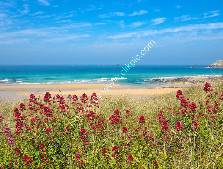 Cover Constantine Bay.