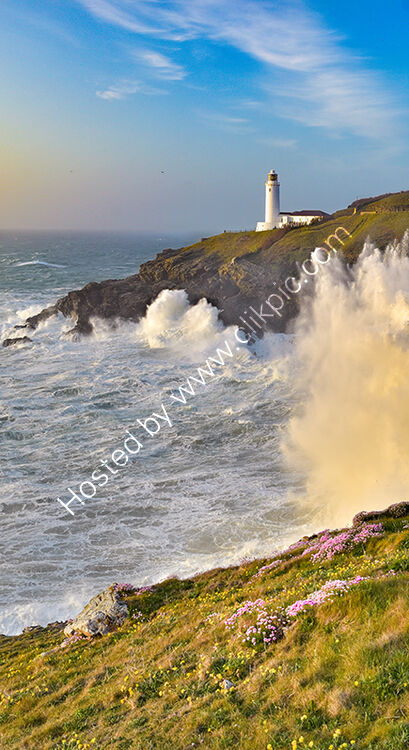 Cover Trevose Head