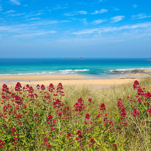 Cover Constantine Bay.
