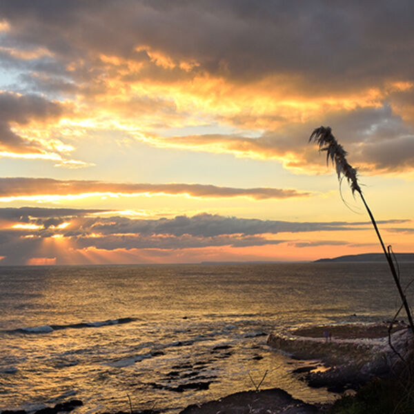 February, Portwrinkle, Whitsand Bay.