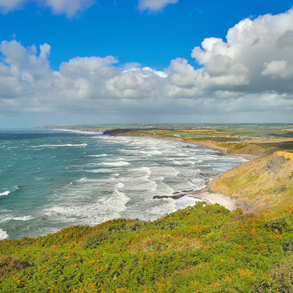 Widemouth Bay from the viewing platform.