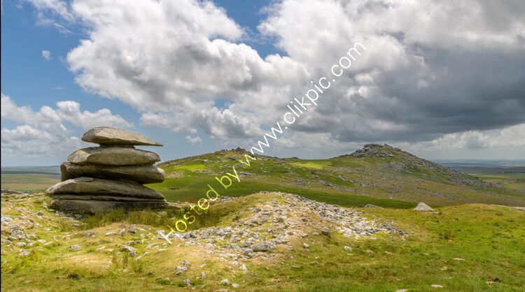 June Rough Tor, on Bodmin Moor