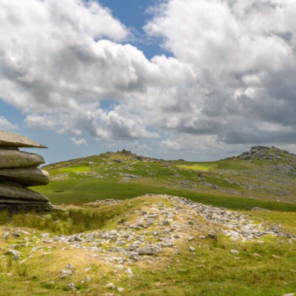 June Rough Tor, on Bodmin Moor