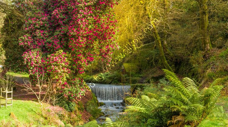 March Menacuddle nr St Austell.