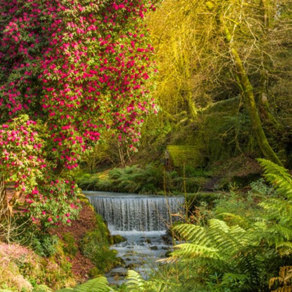March Menacuddle nr St Austell.