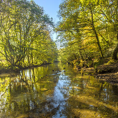 The River Fowey at Callington Newbridge.