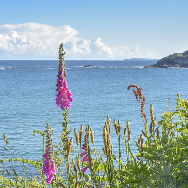 A view over Crantock beach, from West Pentire.