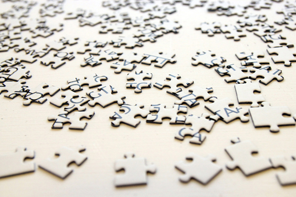 Jigsaw for Bioinformaticians