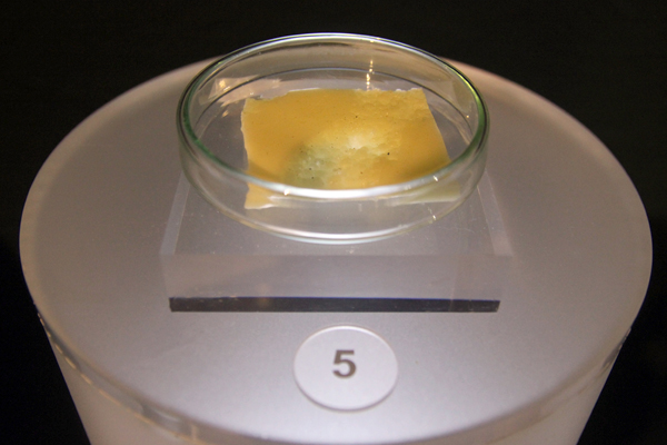 Museum of Future Food Exhibit