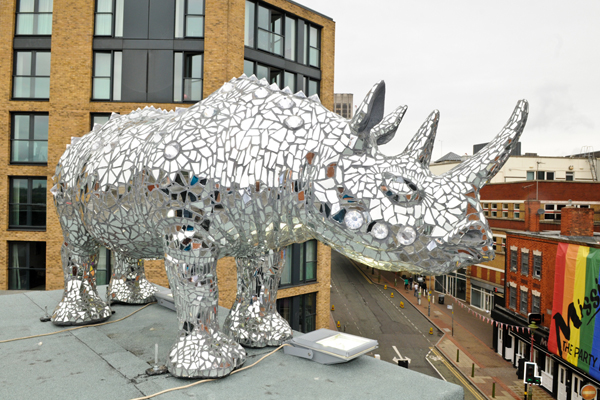 Heart of Rhino 2012