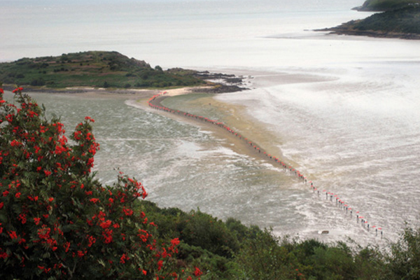 Walking the Tide 2013