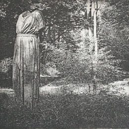 The Old Charioteer