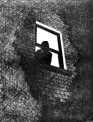 Window