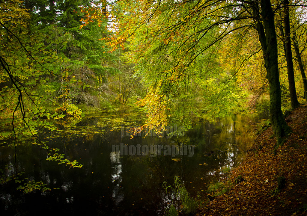 Druid Loch Drumlanrig Dumfries and Galloway