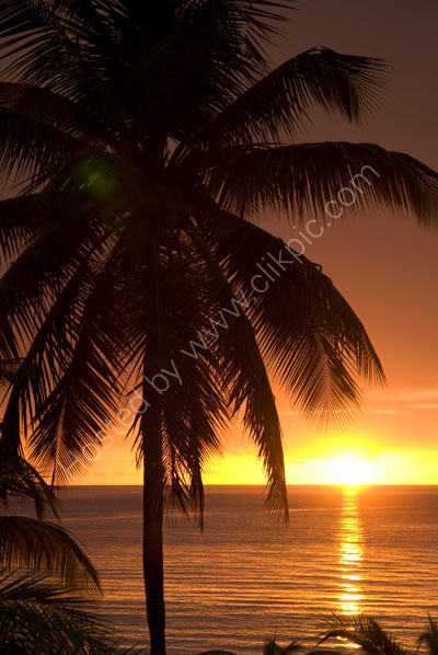 Caribbean Sunset