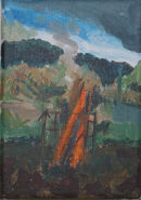 Allotment Fire<br>
acrylic on canvas 17x12cm