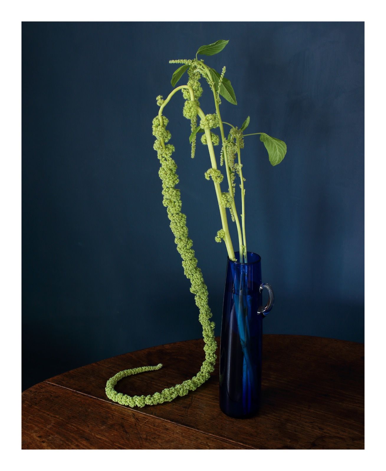 Going Over: Green Amaranthus
