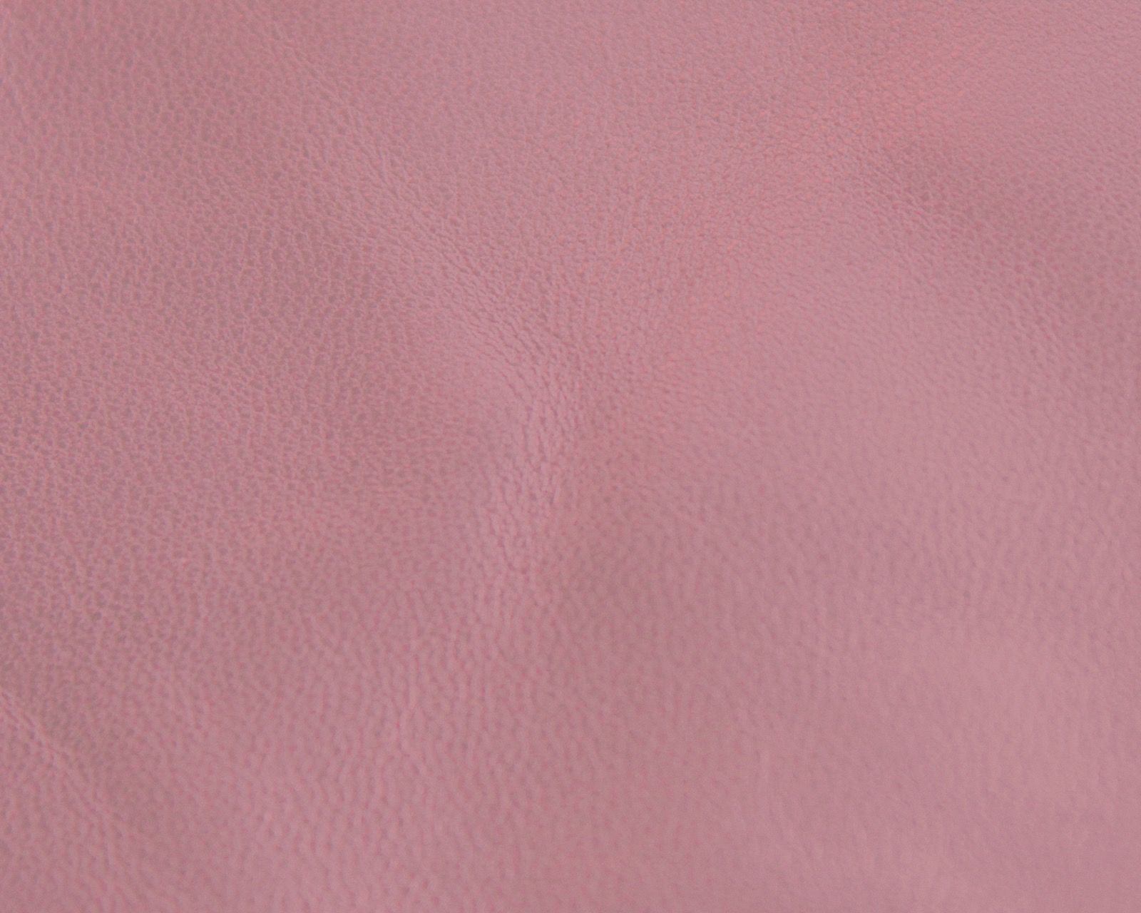 Lamb Rose Pink