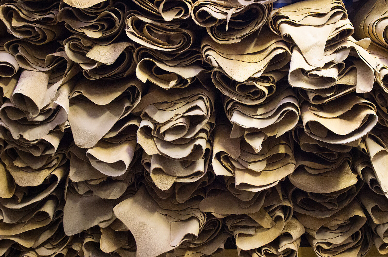 Shelf of Chamois