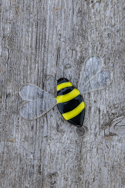 Honey Bee