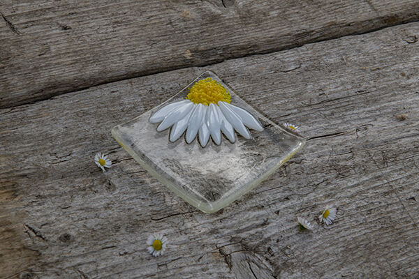 Daisy Trinket Dish