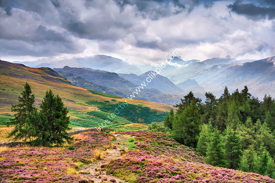 Borrowdale from Walla Crag