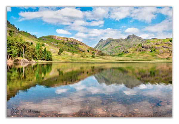 Blea Tarn in summer 1