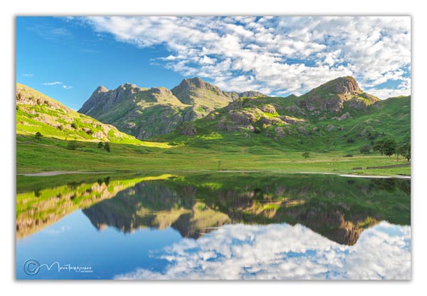 Blea Tarn in summer 4
