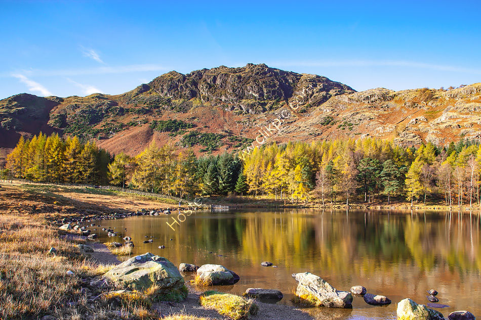 Blea Tarn in Autumn 4