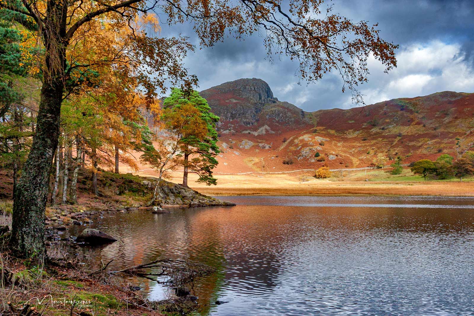 Blea Tarn, Little Langdale