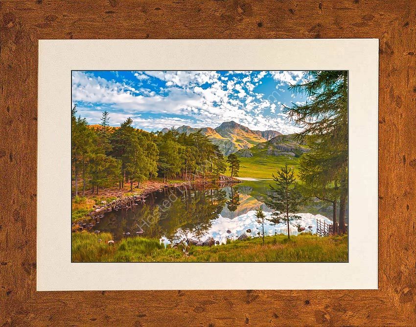 Blea Tarn Reflections 4