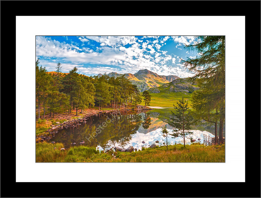 Blea Tran Reflections 4