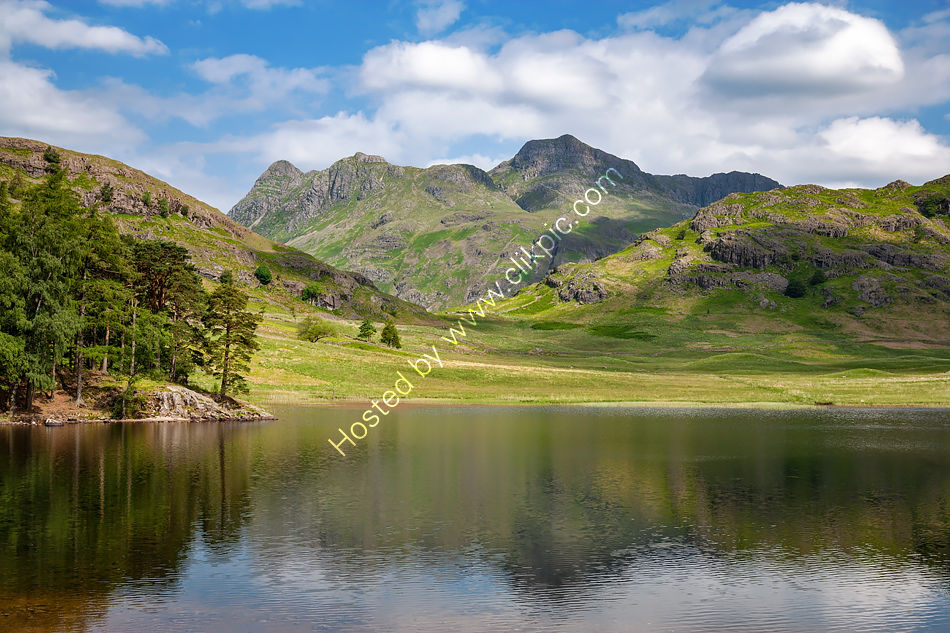 Blea Tarn in Summer 2