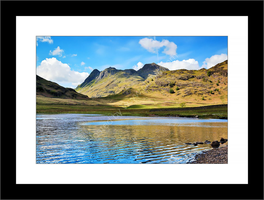 Blea Tarn in Summer 5