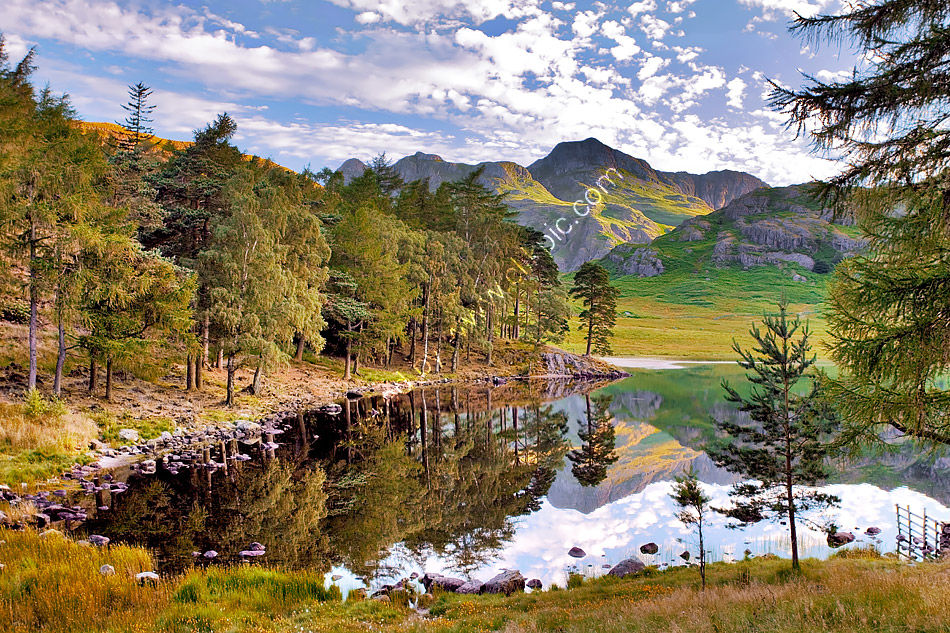 Blea Tarn in Summer 4