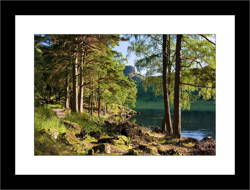 Blea Tarn in summer 6