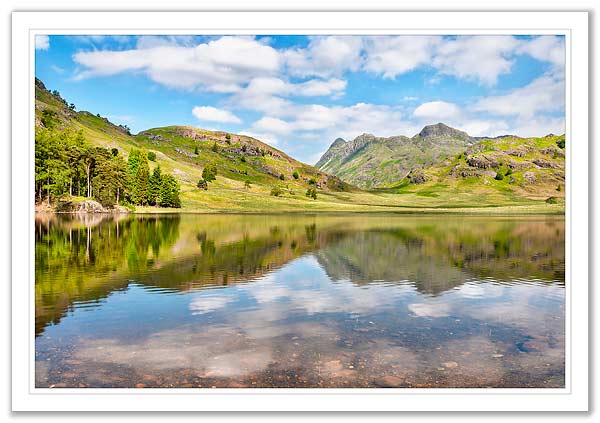 Blea Tarn in Summer 1