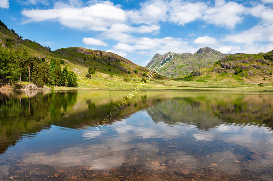 Blea Tarn in Summer 1